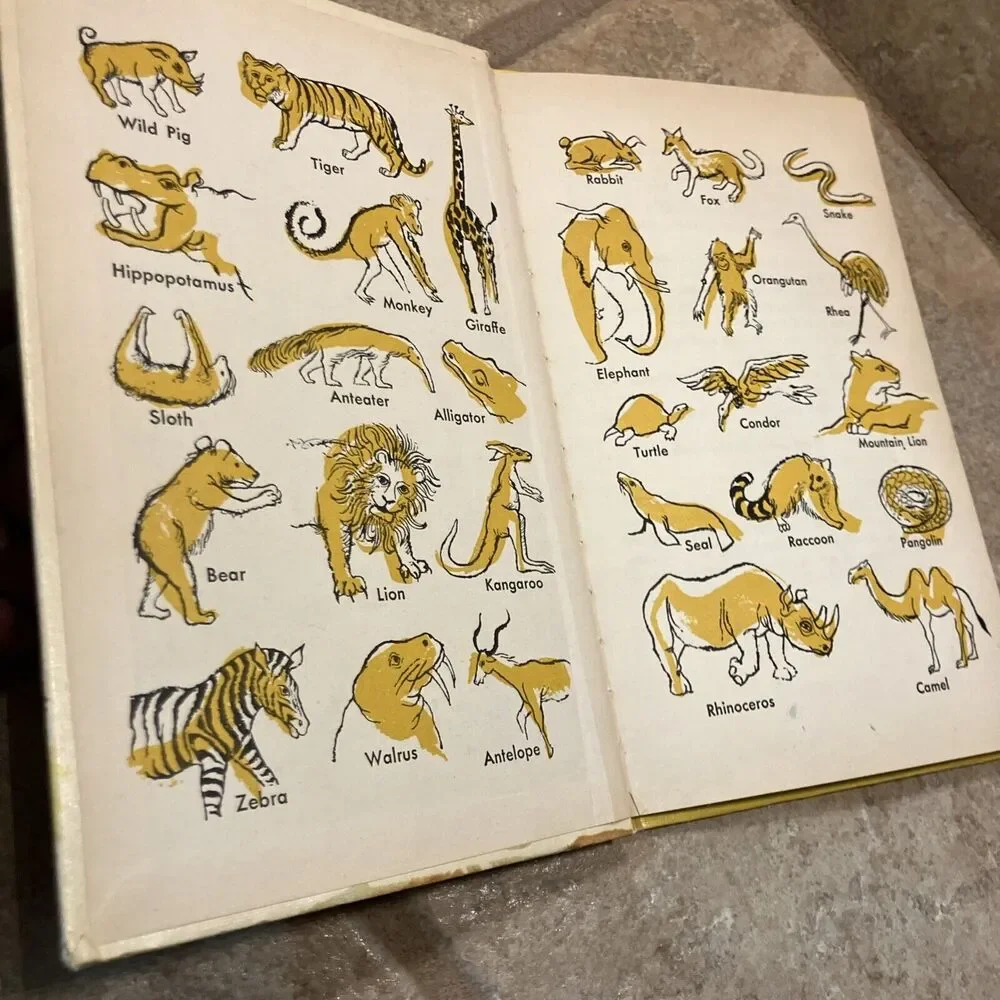 HOW THE ANIMALS GET TO THE ZOO EASY READER HARDCOVER 1964‎